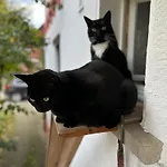 Apartamento Landleben