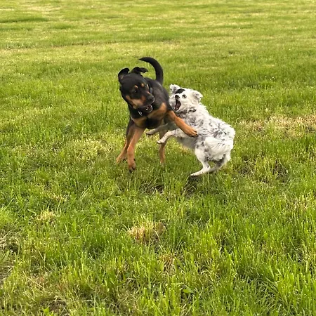 Landleben * Buhlertann