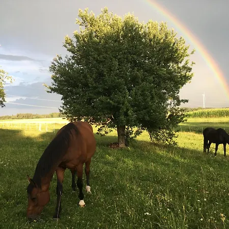 Landleben * Buhlertann
