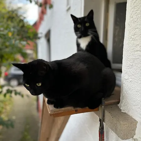 Apartman Landleben