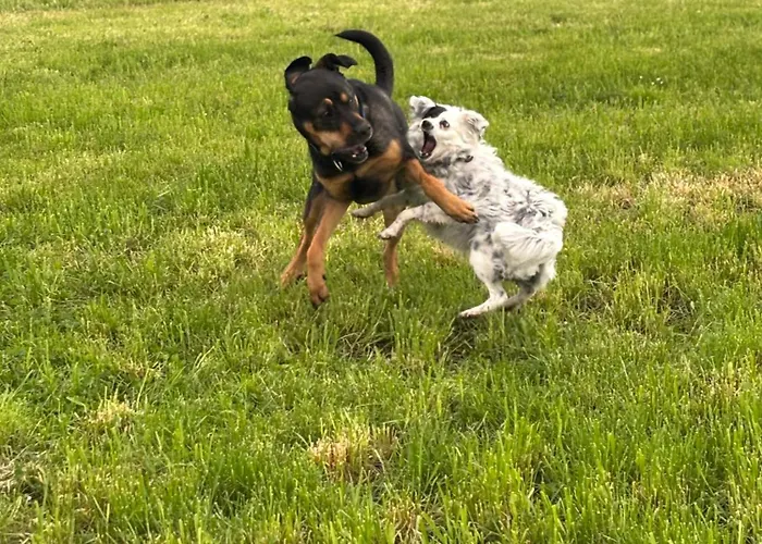 Landleben * Buhlertann