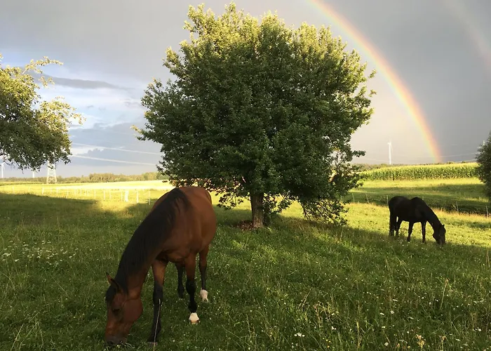 Landleben * Buhlertann