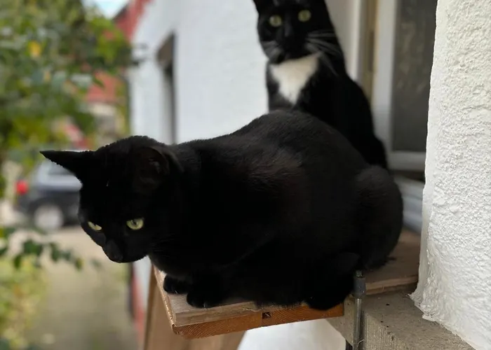 Апартаменты Landleben